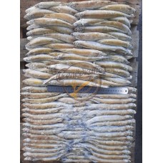 Корюшка н/р 23+ мороженая 10кг Аргентина маркировка 4993 (годен до 25.08.2023) (кг)