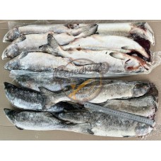 Горбуша Н/Р с/м 2*11кг ООО РК "Крутогоровское" (годен до 31.01.2027)